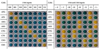 ParAlleL: A Novel Population-Based Approach to Biological <mark class="highlighted">Logic Gates</mark>